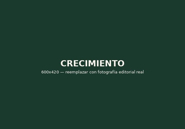 Etapa de crecimiento de los árboles de limón persa